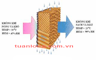Nguyên lý bay hơi tấm làm mát chăn nuôi