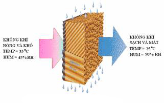 Nguyên lý hoạt động của tấm làm mát cooling pad
