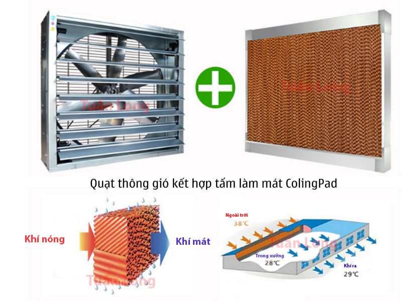 Hình ảnh tấm làm mát cooling pad kết hợp với quạt thông gió